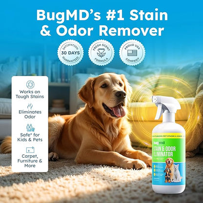 BugMD Enzyme Cleaner for Dog &amp; Cat Urine | Pet Stain and Odor Remover for Carpet &amp; Home | Unscented Urine Destroyer &amp; Deodorizer