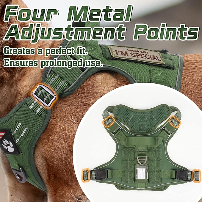 rabbitgoo Tactical Dog Harness for Small Dogs, No Pull Military Service Vest with Handle &amp; Molle, Easy Control for Training Walking, Adjustable Reflective Straps, Green, S