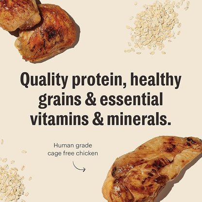 The Honest Kitchen Essential Clusters Dog Whole Grain Chicken 5 lb Bag