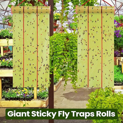 Qualirey Giant Sticky Fly Traps,30 Feet Fly Strips for Indoor Outdoor Hanging Flying Tapes Non Toxic Ribbon Fruit Gnat Killer for Mosquito Plants House Horse Stable (Fluorescent Green,5 Pcs)