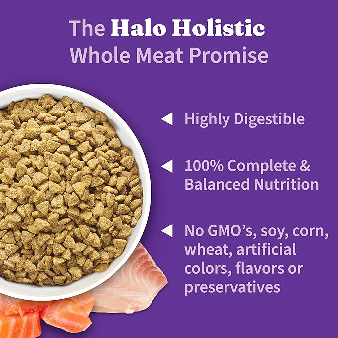 Halo Holistic Kitten Food, Wild Caught Salmon &amp; Whitefish Recipe, Grain Free Dry Cat Food, Complete Digestive Health, 6 lb Bag