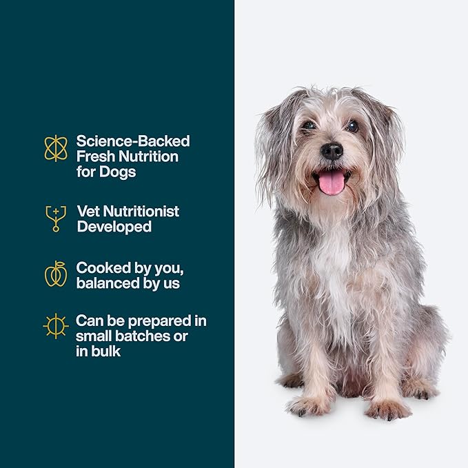 JustFoodForDogs DIY Nutrient Blend for Homemade Dog Food, Chicken &amp; White Rice