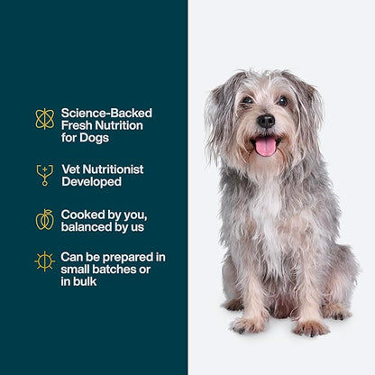 JustFoodForDogs DIY Nutrient Blend for Homemade Dog Food, Chicken &amp; White Rice