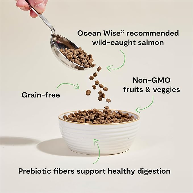 Open Farm, Grain Free Dry Cat Food, High-Protein Kibble for a Complete &amp; Balanced Diet, Non-GMO Fruits &amp; Vegetables, Prebiotic Fibers to Support Digestion, Wild-Caught Salmon Recipe, 4lb Bag