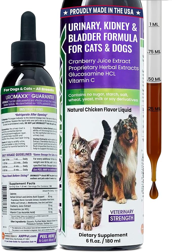 Cat &amp; Dog Urinary Tract Treatment, Bladder &amp; Kidney Support for Dogs and Cats, Powerful Yet Gentle Pet Care, with Liquid Cranberry &amp; Glucosamine, Chicken Flavor, 6 oz Bottle, 1 Pack