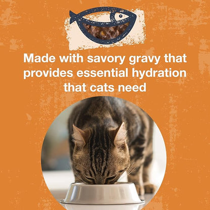 KOHA Poké Bowl Tuna &amp; Pumpkin Entree in Gravy for Cats, 12-Pack of 3oz Pouches