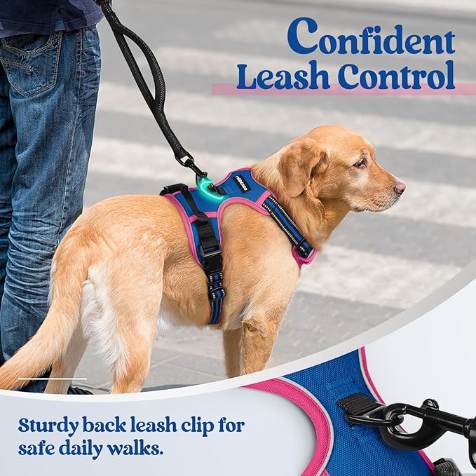 rabbitgoo Dog Harness No Pull with 2 Leash Clips, Adjustable Soft Padded, Reflective Oxford No Choke Pet Vest with Easy Control Handle for Large Dogs, Blue &amp; Hot Pink, S