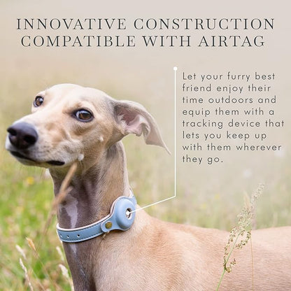 Cupertino Dog Collars, Harnesses &amp; Leashes Made from Vegan Leather with Dog Tracker Device Holder Adjustable Dog Collar (Extra Small, Blue)