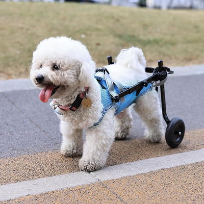 Updated Dog Wheelchair for Back Legs,Small Dog Wheelchair Carts with Wheels, Light Weight Wheelchair for Leg Support Helps Senior,Injured,Paralyzed, S &amp; Blue