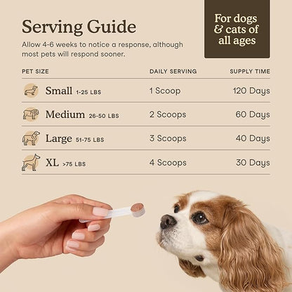 Fera Pets Mushroom Supplement for Dogs &amp; Cats with Turkey Tail - USDA Organic - Cognitive and Immune Support - Enhances Liver Function - Supports a Healthy Gut - Powder - 120 Scoops