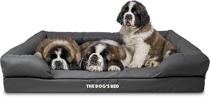 The Dog’s Bed, Dog Bed XXL Grey 51.5x39, Memory Foam, Pain Relief: Arthritis, Hip &amp; Elbow Dysplasia, Post Surgery, Lameness, Supportive, Calming, Waterproof Washable Cover, Veterinary Approved