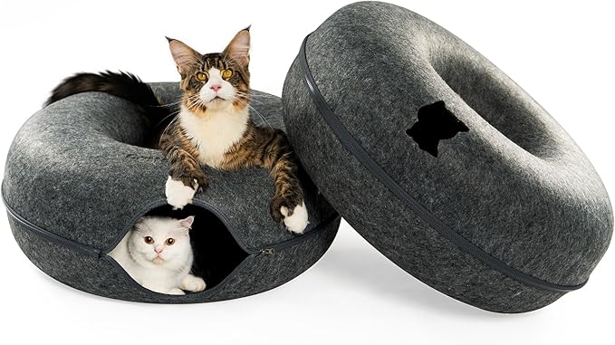 Cattasaurus Peekaboo Cat Cave, Extra Spacious for Multiple &amp; Large Cats 12+ lbs, Scratch Detachable Beds for Indoor Cats, Washable Tunnel Bed, Comfy Cat Donut Tunnel (Dark Gray+Dark Gray, Jumbo)