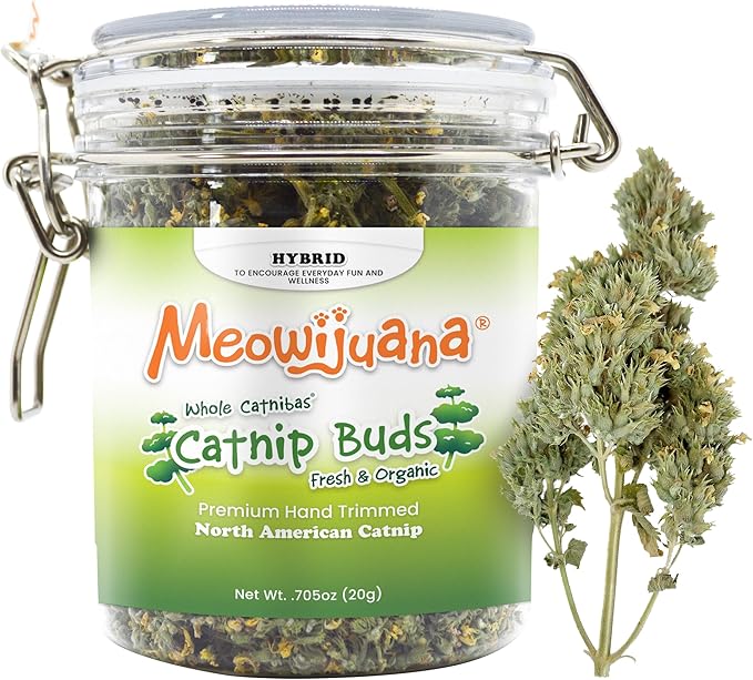 Meowijuana | Dried Catnip Buds Jar | Premium Organic Catnip | Grown in North America | Perfect for Cat Toys | Fresh Catnip for Extended Playtime | Elevate Your Cat&