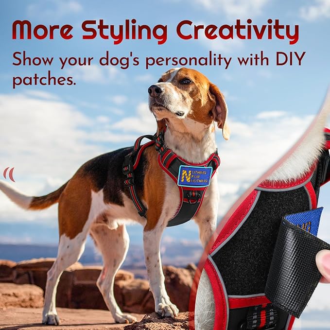 Eagloo Dog Harness Small Sized, Easy Wearing with 3 Buckles, Adjustable No Pull Pet Harness with 2 Rings for Walking, No Chock Reflective Soft Padded Vest with Control Handle, Black &amp; Red, S