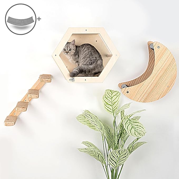 3-Piece Cat Wall Furniture Set - Hammock, Hexagon House, Climbing Steps - Wall Mounted Shelves, Perches, and Beds - Modern Design for Large Cats and Kittens &amp; Spare Hammock Fabric Included