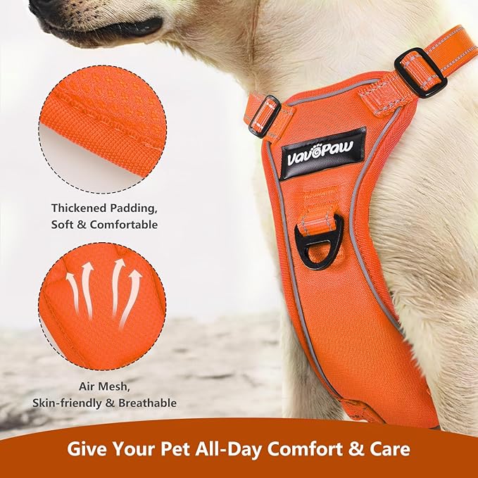 Dog Seat Belt Harness for Car, Dog Car Harness Adjustable Mesh Breathable &amp; Dogs Seatbelt Safety Tether with Elastic Bungee for Small Medium Large Pets(Orange, XL)