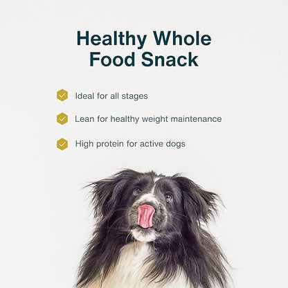 JustFoodForDogs Single-Ingredient Healthy Dog Treats, Beef Brisket, Made in The USA, 5 oz