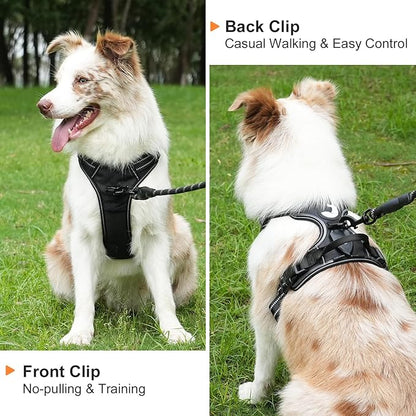 Taglory Light Up Dog Harness, Rechargeable No Pull Dog Vest with 3 Lightning Modes, Reflective Dog Harness with 2 Leash Clips &amp; 4 Adjustable Slide Strips for Small Dogs, Black-Purple, S