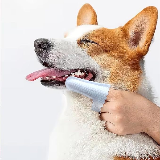 H&amp;H Pets Disposable Finger Toothbrush Dental Dry Wipes for Dogs &amp; Cats -Ultra Soft, Fragrance Free, Hypoallergenic, 60 Count
