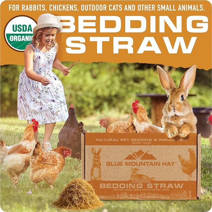 Blue Mountain Hay | Organic Bedding Straw (25 lb) | Natural Pet Bedding &amp; Insulation for Rabbits, Guinea Pigs, Goats, Chickens, Stray &amp; Feral Cats, and Small Animal Shelters