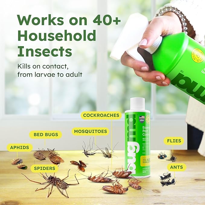 BugMD Ant Killer &amp; Bug Spray - Roach and Cockroach Killer Indoor, Spider Spray for Home, Fly and Insect Defense, Natural, Safe with Essential Oils, Plant-Powered, Pest Control - Starter Kit