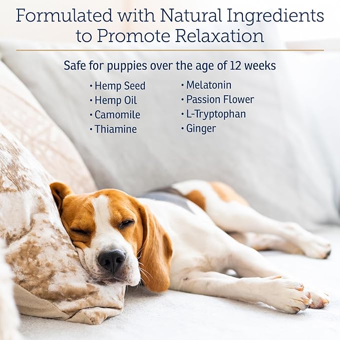 Rx Vitamins NutriCalm - Calming Care for Dogs with Valerian Root, Tryptophan, &amp; Ashwagandha - Aids in Separation Anxiety Relief for Dogs and Stress Relief - Road Trip Essentials &amp; Relaxant - 50ct