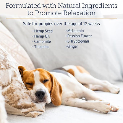 Rx Vitamins NutriCalm - Calming Care for Dogs with Valerian Root, Tryptophan, &amp; Ashwagandha - Aids in Separation Anxiety Relief for Dogs and Stress Relief - Road Trip Essentials &amp; Relaxant - 50ct