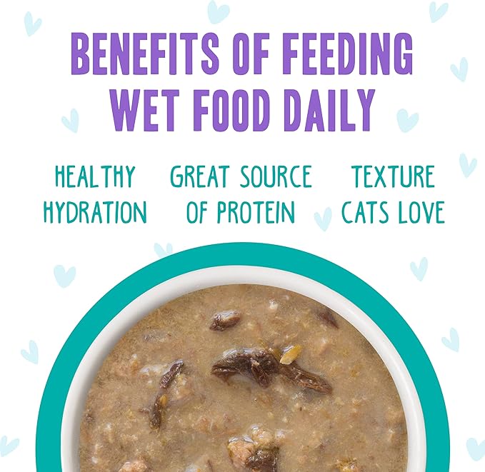 Weruva B.F.F. OMG - Best Feline Friend Oh My Gravy! Grain-Free Wet Cat Food Cans, QT Patootie! Chicken &amp; Turkey, 2.8 oz Can (Pack of 12)