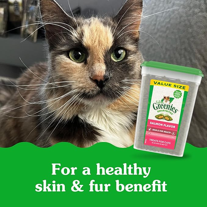 Greenies Feline Smartbites Skin &amp; Fur Health Crunchy and Soft Cat Treats, Salmon Flavor, 16 oz. Tub