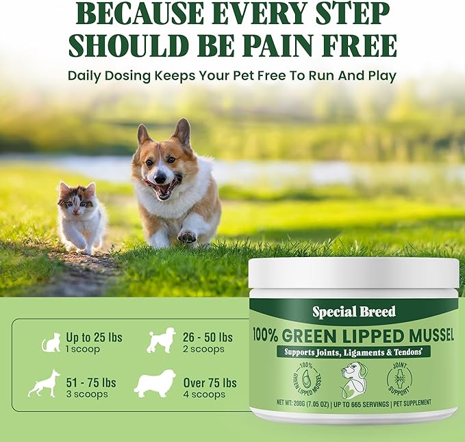 Special Breed Green Lipped Mussel Powder for Dogs &amp; Cats - 100% New Zealand Green Lipped Mussels - Natural Hip &amp; Joint Supplement for Joints, Tendons, Ligaments, Muscles - 200 Grams - 665 Servings
