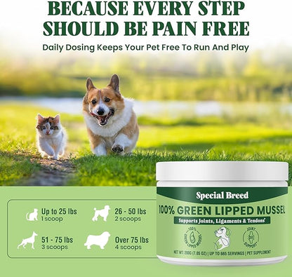 Special Breed Green Lipped Mussel Powder for Dogs &amp; Cats - 100% New Zealand Green Lipped Mussels - Natural Hip &amp; Joint Supplement for Joints, Tendons, Ligaments, Muscles - 200 Grams - 665 Servings
