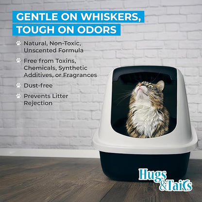 Cat Litter Deodorizer – Pet Safe Odor Eliminator &amp; Housebreaking Supplies for Cats, Kittens, &amp; Small Pets – Natural, Unscented, Non Toxic, Low Dust, 1 lb, by HugsandTails