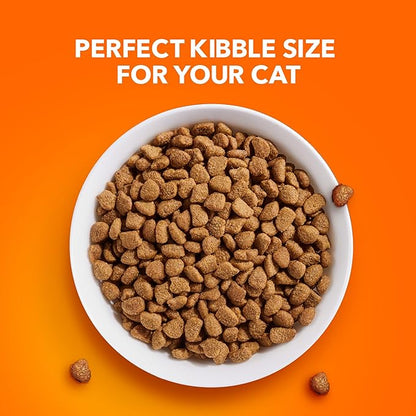 IAMS Proactive Health Adult Sensitive Digestion &amp; Skin Dry Cat Food with Turkey, 13 lb. Bag