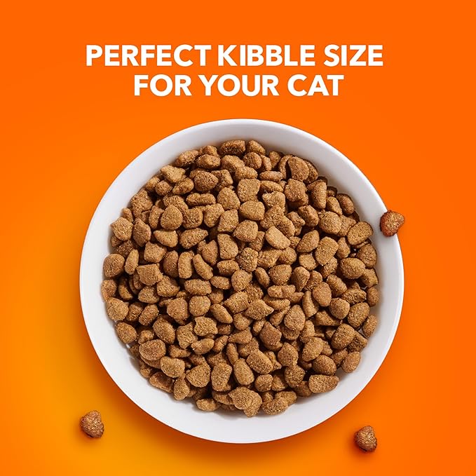 Iams IAMS PROACTIVE HEALTH Adult Sensitive Digestion &amp; Skin Dry Cat Food with Real Turkey Cat Kibble, 3 lb. Bag