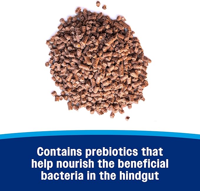 Farnam Hindgut Stabilizer Pellets, Daily Digestive &amp; Immune Supplement for Horses Helps Maintain a Balanced Microbiome for Optimal Digestion