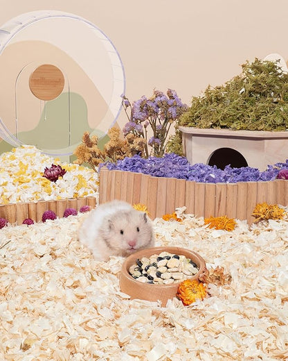Niteangel Hamster Snack &amp; Treats Toy - Small Animal Natural Treat for Dwarf Syrian Robo Hamsters Gerbils Mice Lemmings Degus or Other Small-Sized Pets