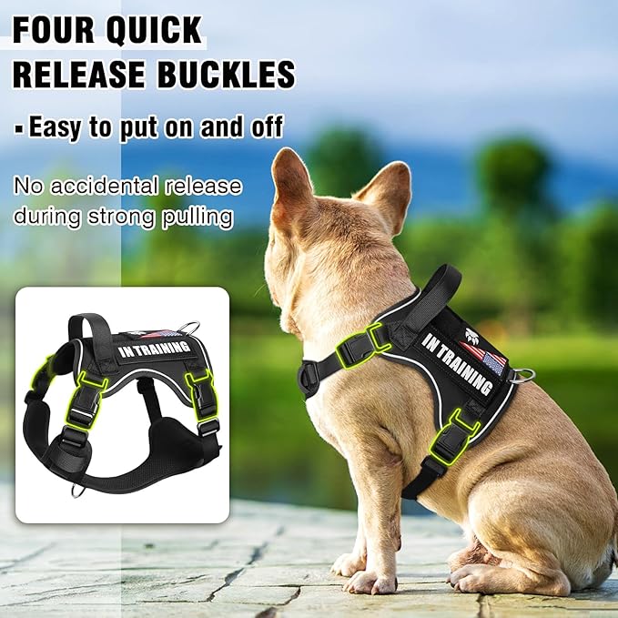 WINSEE Service Dog in Training Harness with 5 PCS Patches, Reflective Tactical Dog Vest Harness, Adjustable Soft Oxford Pet Harness with Easy Control Handle, Hook &amp; Loop Panels for Walking Hiking