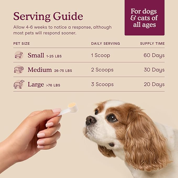 Fera Pets Bladder Support - Cranberry for Dogs &amp; Cats - D-Mannose &amp; Marshmallow Root - Urinary Tract Support - Supports Normal Urine pH - Boosts Immunity - 60 Scoops