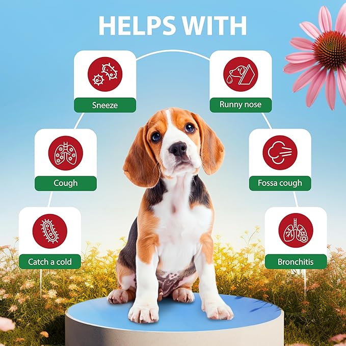 Kennel Cough Drops for Dogs &amp; Cats Cough Relief Dry and Wet Pet Cough Allergy Relief - for Dogs of All Breeds &amp; Sizes