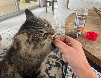 Bench &amp; Field Holistic Natural Healthy Kitty Cat Treats | Crunchy Fish-Shaped Bites | Delicious Seafood Flavored Snack, 3-Ounce (Pack of 2 Bottles)