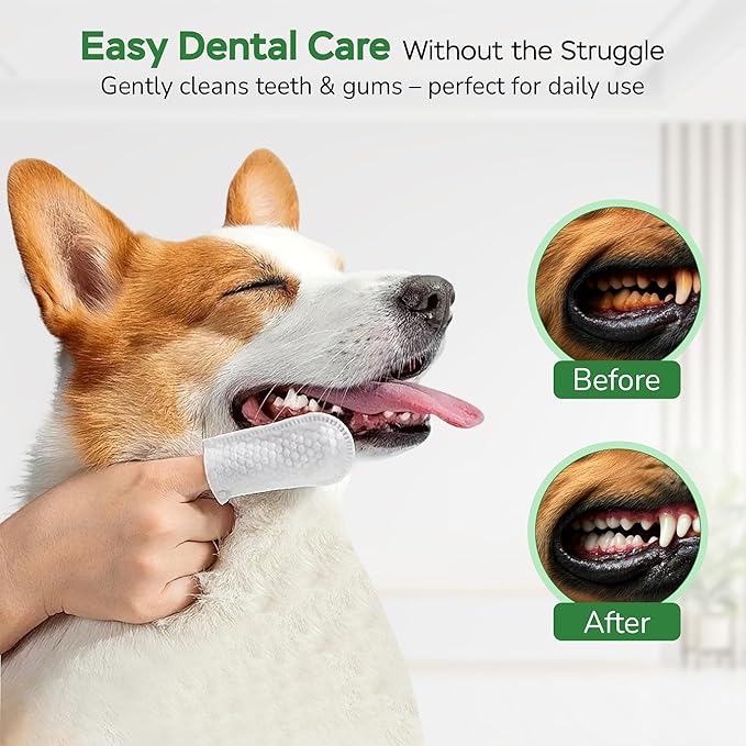 Puppy Essentials Kit Contains Dog Wipes for Paws and Butt, Nourishing Paw Balm, Teeth Cleaning Wipes &amp; Poop Bags Set | Dog Camping Essentials and Travel Accessories