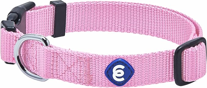 Blueberry Pet Essentials Small Dog Collar in Fuchsia Pink | Adjustable &amp; Eco-Friendly Durable Nylon Strap | Classic Collar for Small Dogs, Boy &amp; Girl Pets