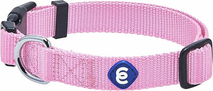 Blueberry Pet Essentials Small Dog Collar in Fuchsia Pink | Adjustable &amp; Eco-Friendly Durable Nylon Strap | Classic Collar for Small Dogs, Boy &amp; Girl Pets