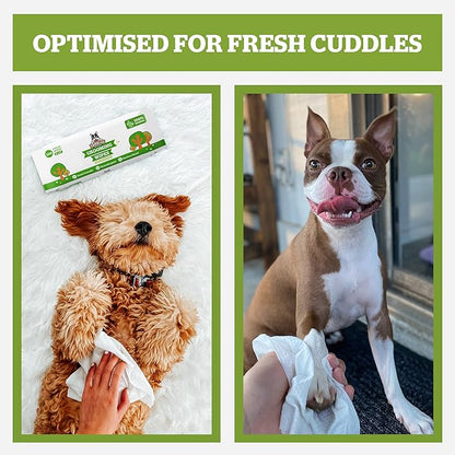 Pogi’s Dog Wipes Travel Packs – Hypoallergenic Pet Wipes for Paws, Body &amp; Butt – Cleaning &amp; Hydrating, Green Tea Scent, 240-Count