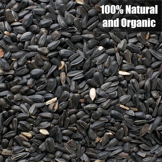 Wildlife Black Oil Sunflower Seeds for Birds and Wildlife, Non-GMO &amp; USA Grown on Small Farms (25 lbs)