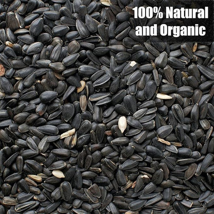 Wildlife Black Oil Sunflower Seeds for Birds and Wildlife, Non-GMO &amp; USA Grown on Small Farms (25 lbs)