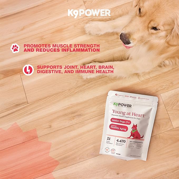 K9 Power Young at Heart Senior Dog Multivitamin 1 lb – Supplement for Brain Heart, Vision &amp; Mobility Support in Senior Dogs - Pack of 2