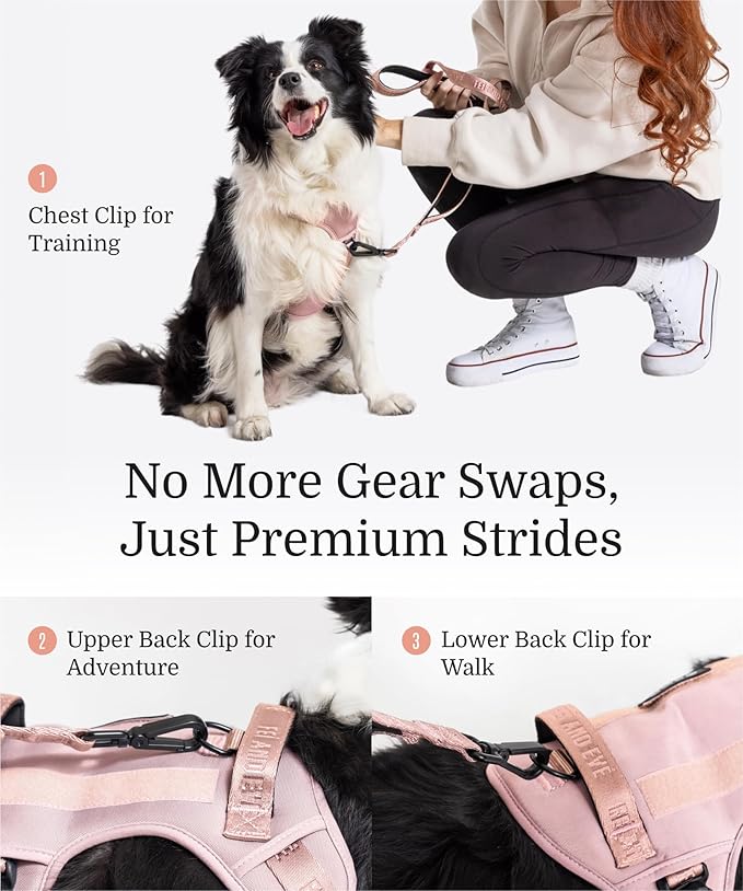 2025 New Edition, Fei &amp; Eve MagEase Dog Harness - 3-Second Magnetic Buckles | 3-Point No-Pull Control | Heavy-Duty 900D Nylon | Dual Safety Handles | Breathable Mesh | Adjustable Fit | Small, Pink