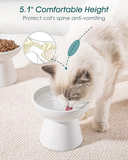 vancasso Ceramic Elevated Cat Bowls 2-Pack - 6.2" Extra Wide Raised Cat Food &amp; Water Dishes, 5.1" Optimal Height Anti-Whisker Fatigue Shallow Bowls for Cats/Kittens/Dogs, Lead &amp; Cadmium Free (White)