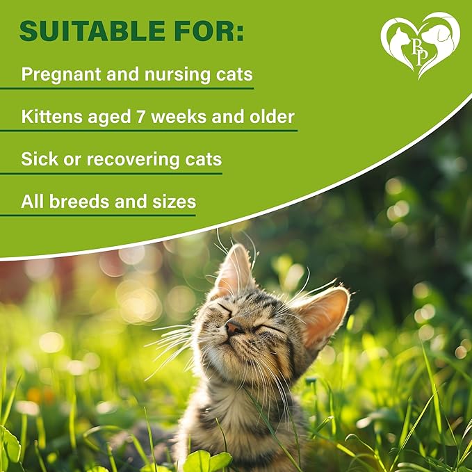 Natural Flea &amp; Tick Collar for Cats - 12 Months Control of Best Prevention &amp; Safe Treatment - Anti Fleas and Ticks Essential Oil Repellent (2 Pack)